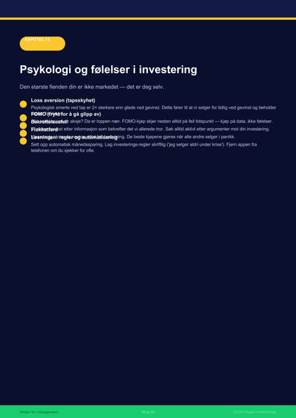 Aksjer for nybegynnere – Norsk e-bok om investering og aksjesparing