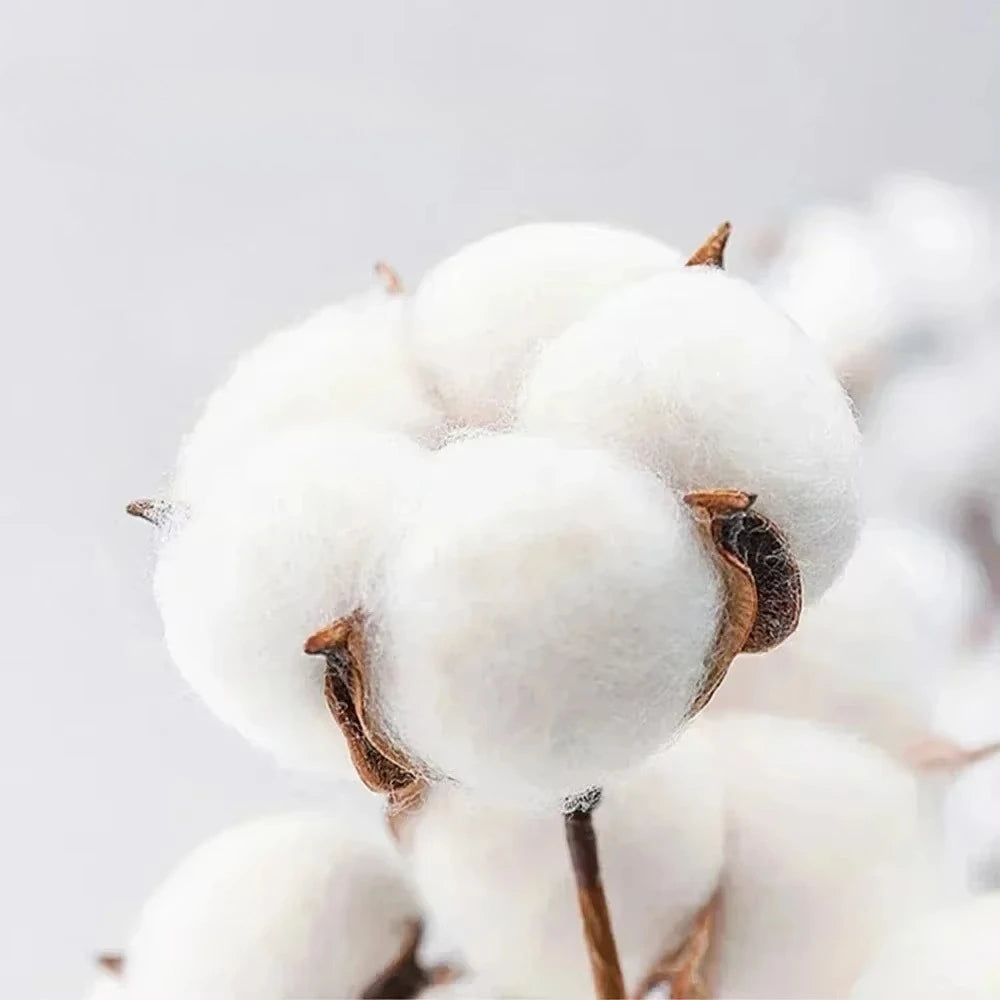 One Piece Japanese Anime Printed Men's T-Shirt Roronoa Zoro Boy Children's Harajuku Short Sleeve Tee Unisex Luffy Top Clothing