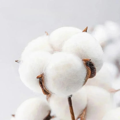 One Piece Japanese Anime Printed Men's T-Shirt Roronoa Zoro Boy Children's Harajuku Short Sleeve Tee Unisex Luffy Top Clothing